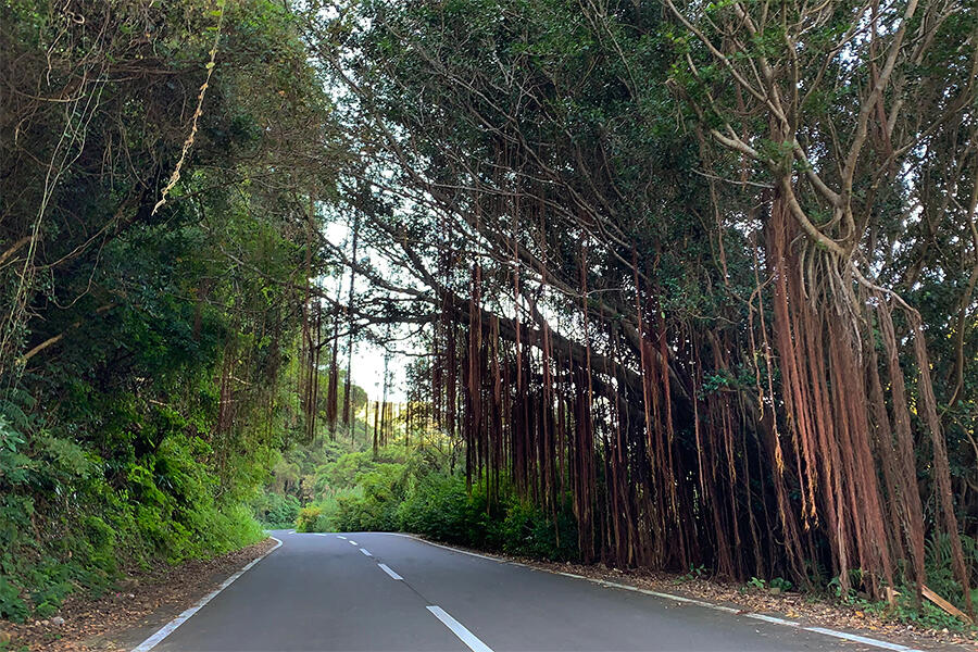 最南端:鹿児島県南大隅町(佐多岬)