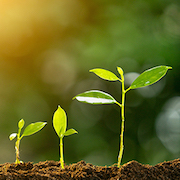 株式・格付けの状況