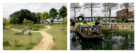 工場内ビオトープの様子