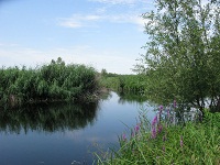 工場周辺の河川（Saint -Jean川）の様子