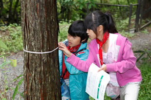森林教室　樹木観察の写真