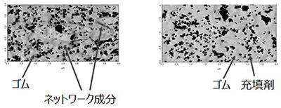 原子間力顕微鏡位相像（左：制御でネットワークあり、右：制御せずネットワークなし）