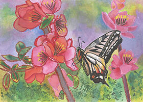 「アゲハチョウ」佐竹 杏那さん