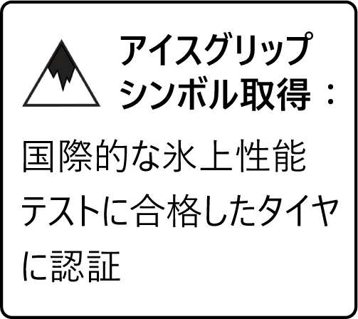 アイスグリップシンボル取得：国際的な水上性能テストに合格したタイヤに認証