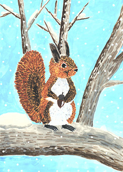 かわいいエゾリス