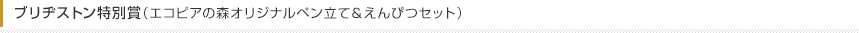 ブリヂストン特別賞（エコピアの森オリジナルペン立て＆えんぴつセット）