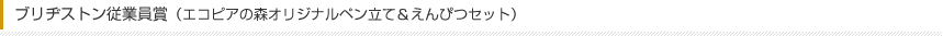 ブリヂストン従業員賞（エコピアの森オリジナルペン立て＆えんぴつセット）