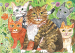 ねこ達の集会