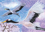 春の鶴
