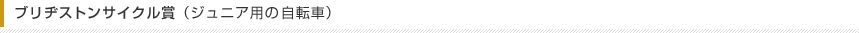 ブリヂストンサイクル賞