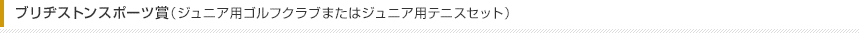 ブリヂストンスポーツ賞