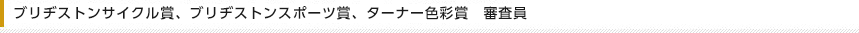 ブリヂストサイクル賞、ブリヂストンスポーツ賞、ターナー色彩賞　審査員
