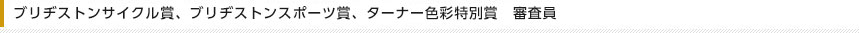 ブリヂストンサイクル賞、ブリヂストンスポーツ賞、ターナー色彩賞　審査員