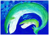 クジラの親子