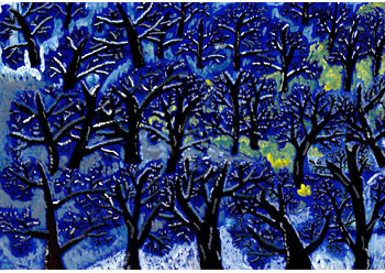 雪がかがやいている森