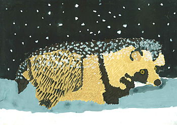 雪道を歩くエゾタヌキ