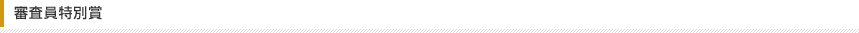 審査員特別賞