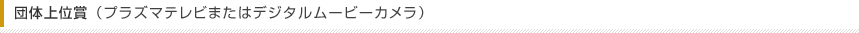 団体上位賞（プラズマテレビまたはデジタルムービーカメラ）