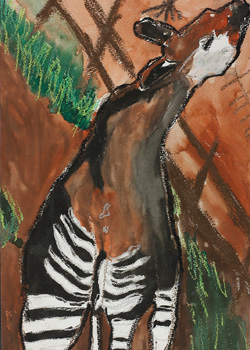 新しい生き物オカピー