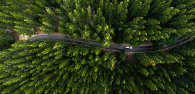 サステナビリティ