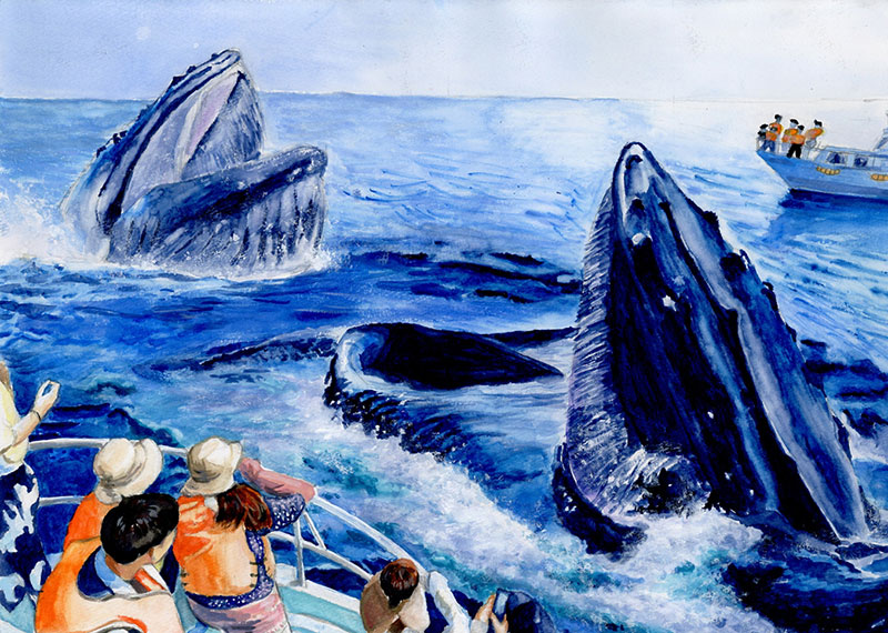 「クジラと人ときれいな海」