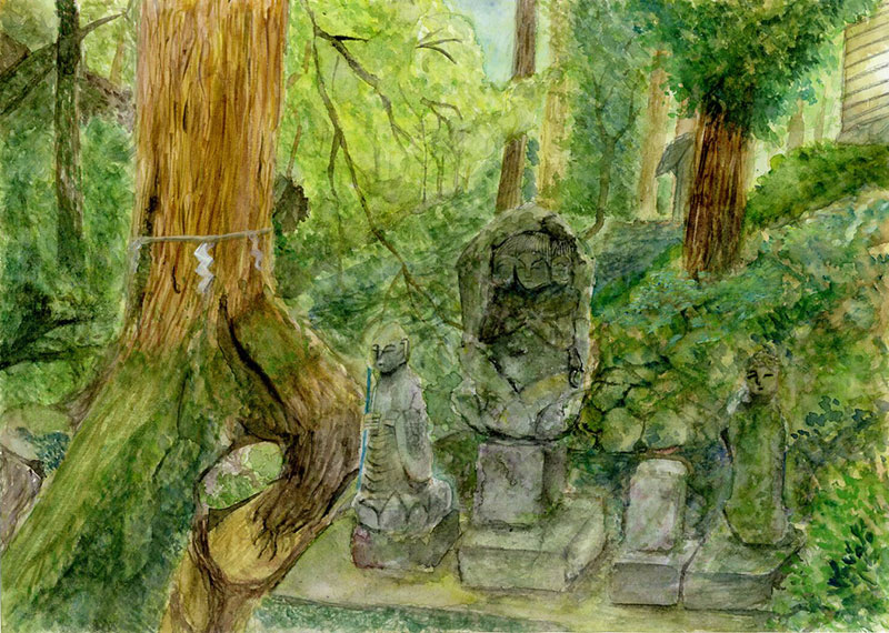 「岩屋神社の大きな杉の木」