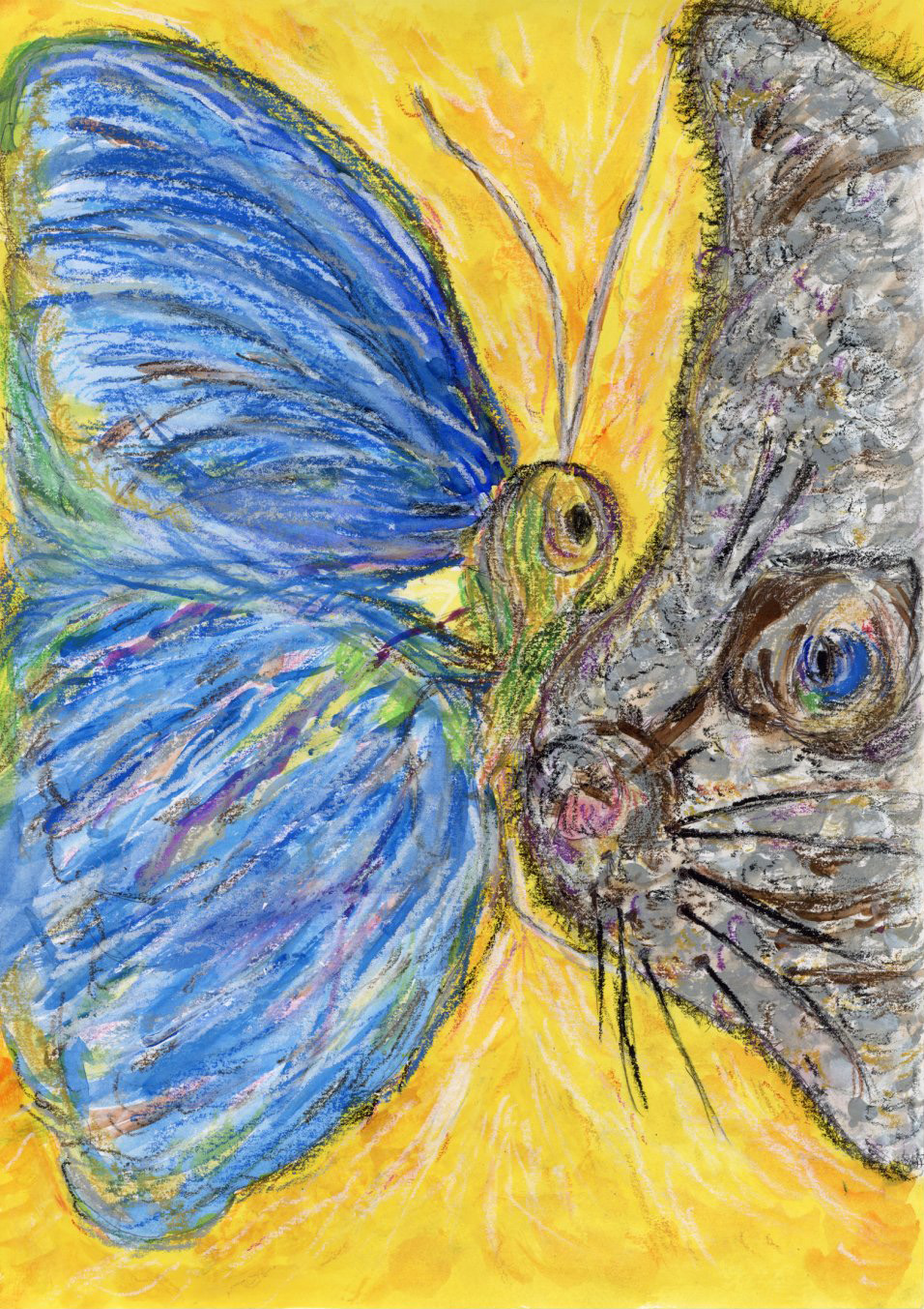 「見つめ合う。ネコとチョウのせかい」