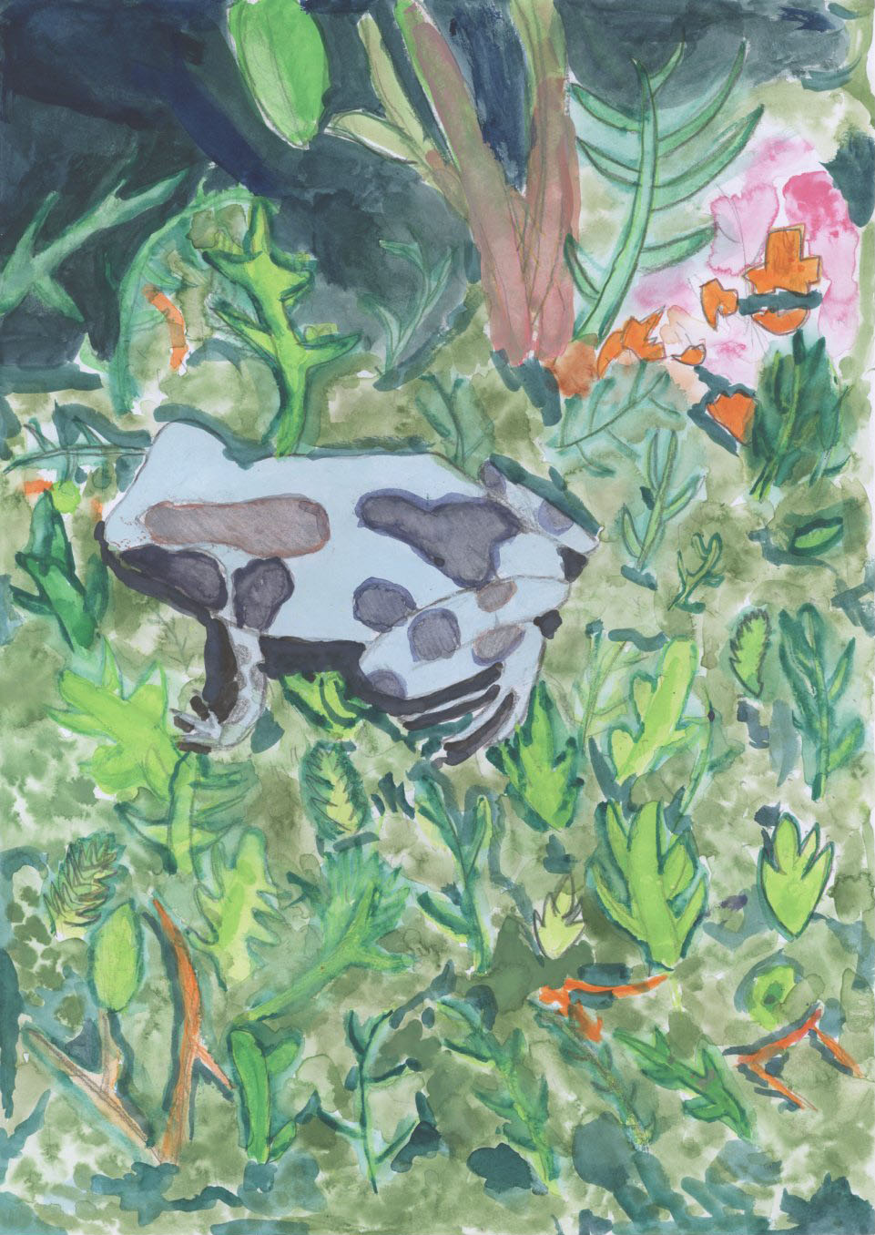 「すわっているヤドクガエル」