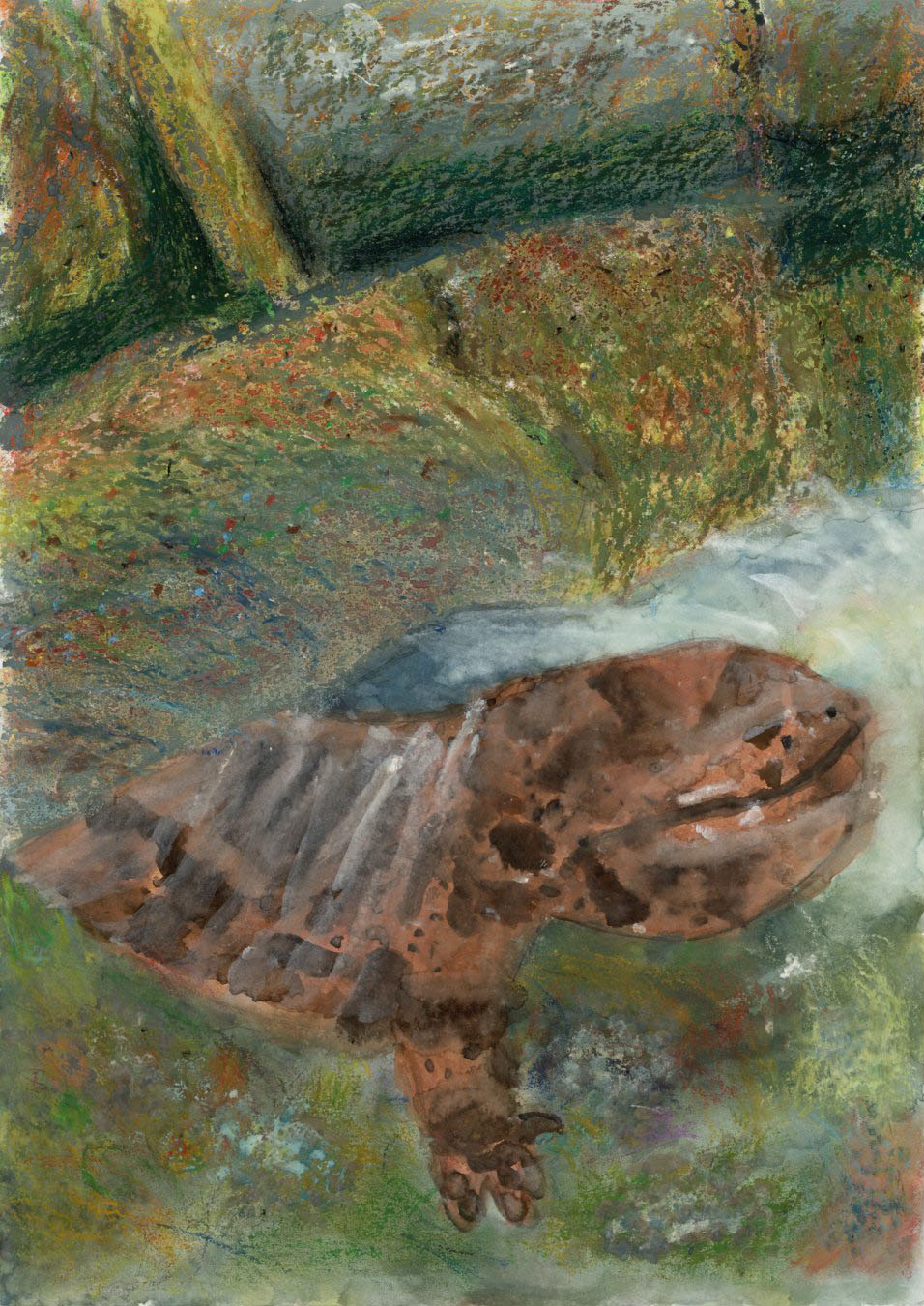 「郡上のヌシ」