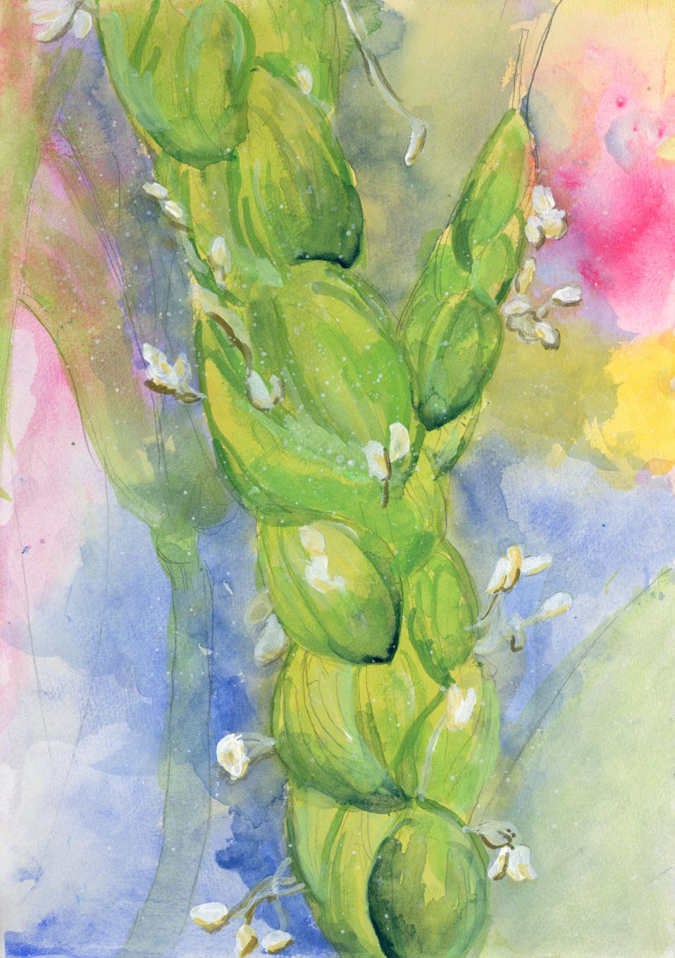 「お米のかわいい花」