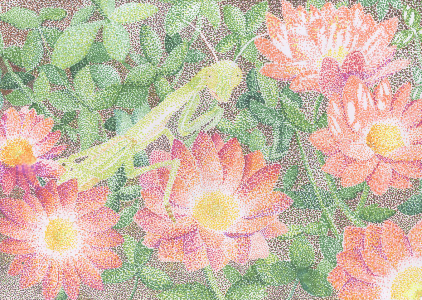 「カマキリと菊」