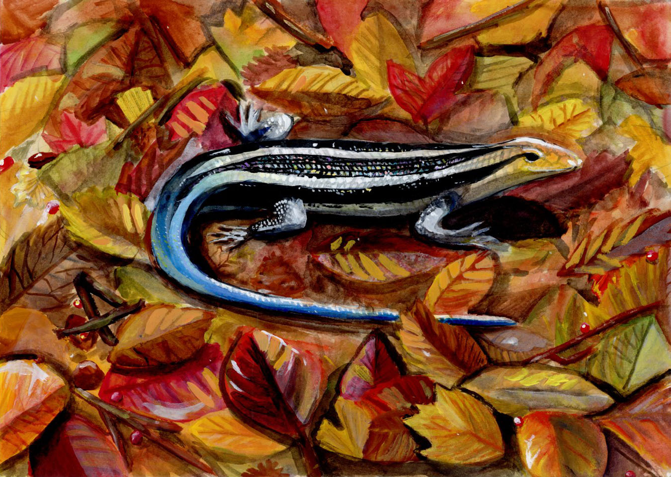 「落ち葉の上を歩くカナヘビ」