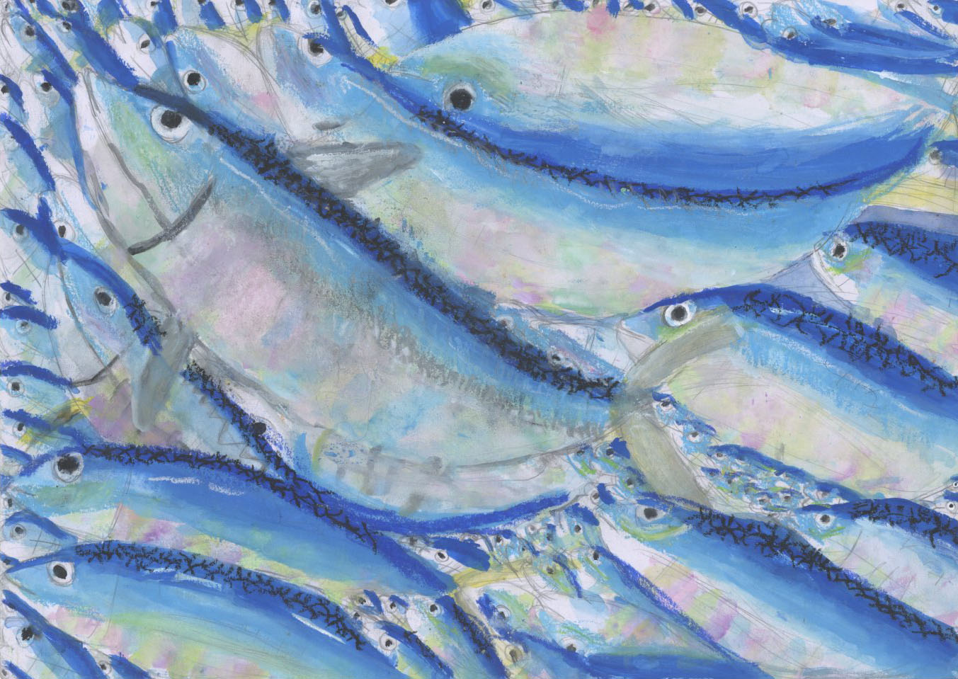 「魚混み注意ー！」