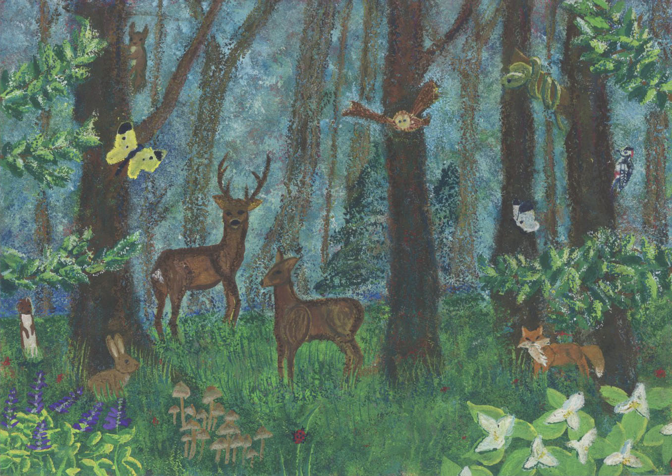 「毎日たんけん楽しい発見」