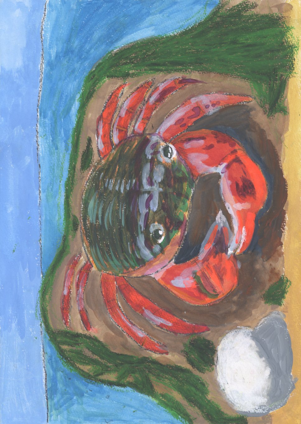 「しお風にかがやくこうらの光」