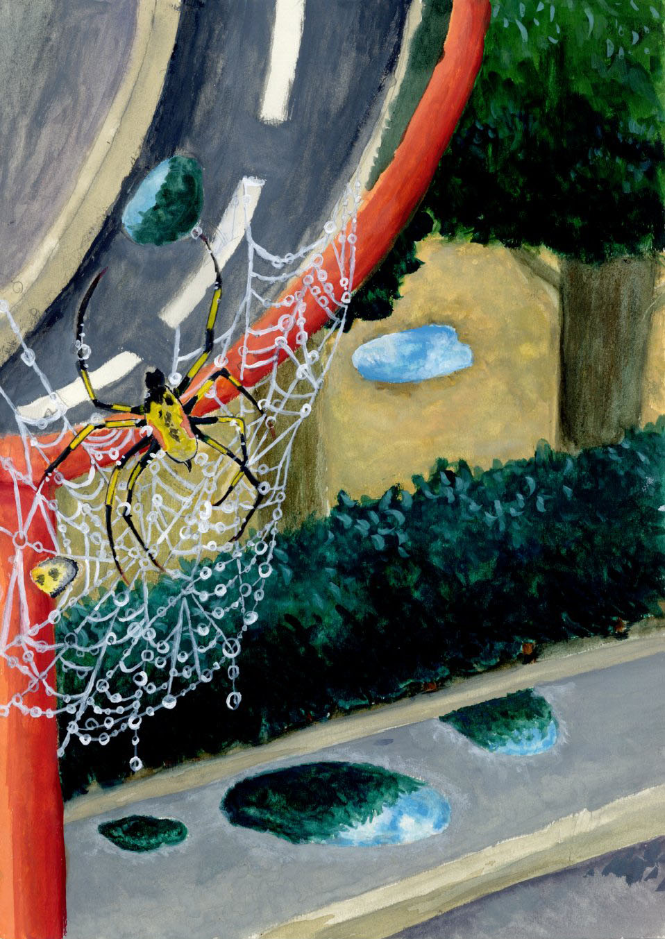 「雨上がりのクモの巣」